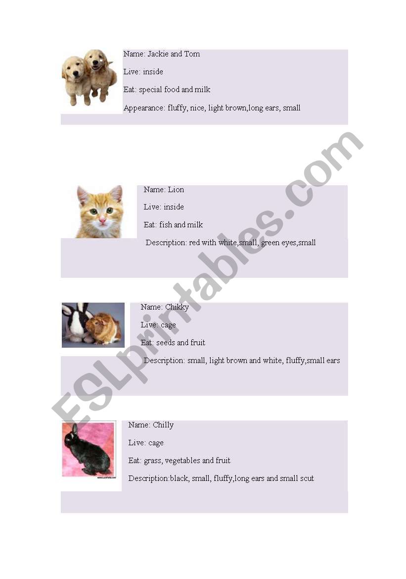 Pets worksheet