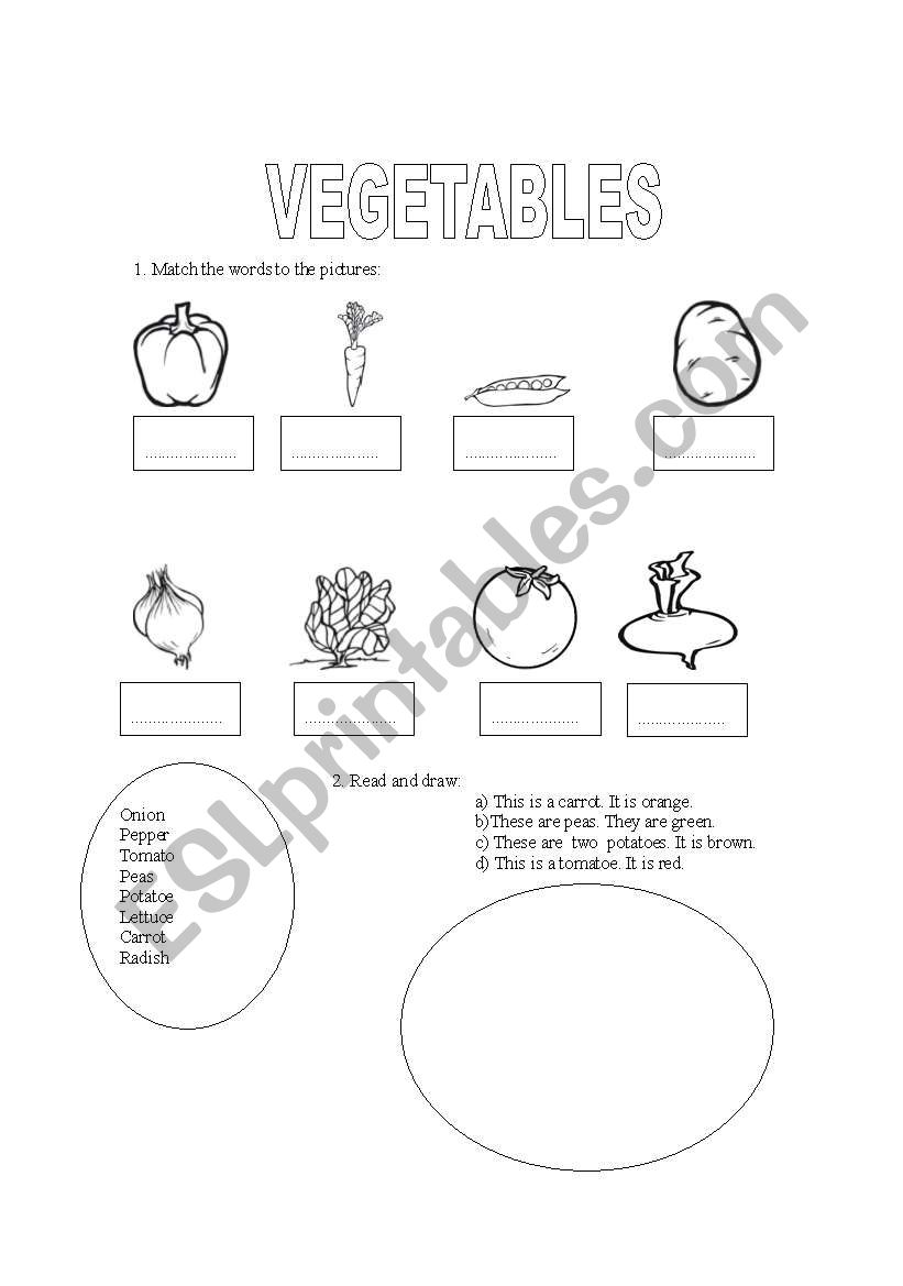 vegetables worksheet