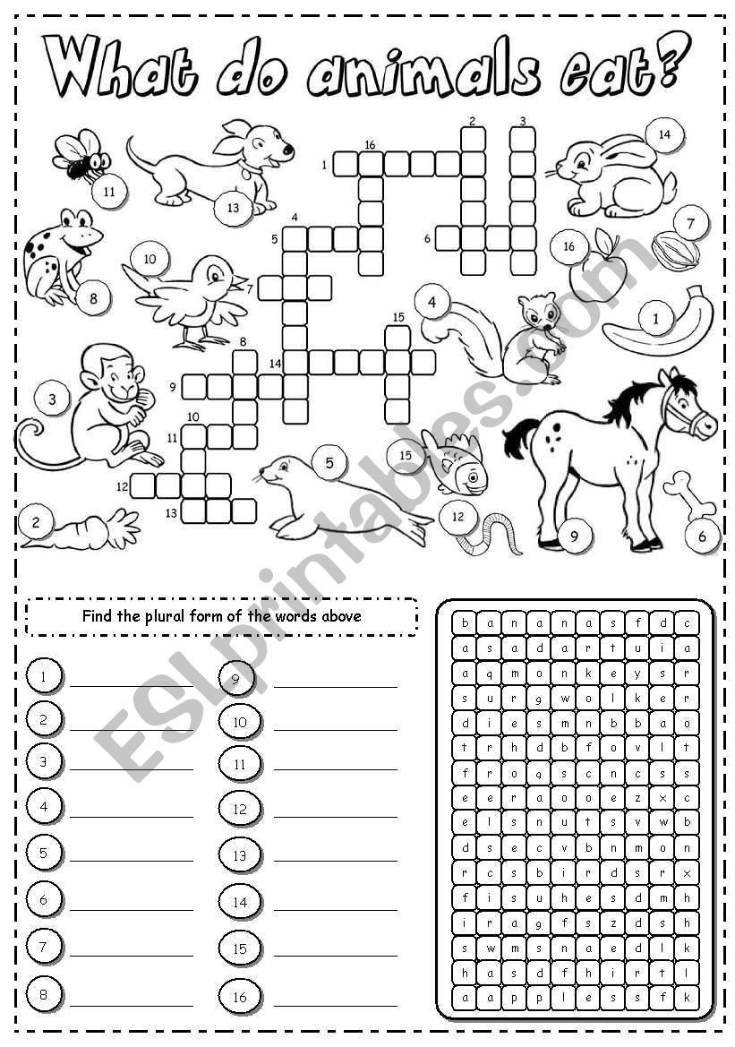 What do animals eat? worksheet