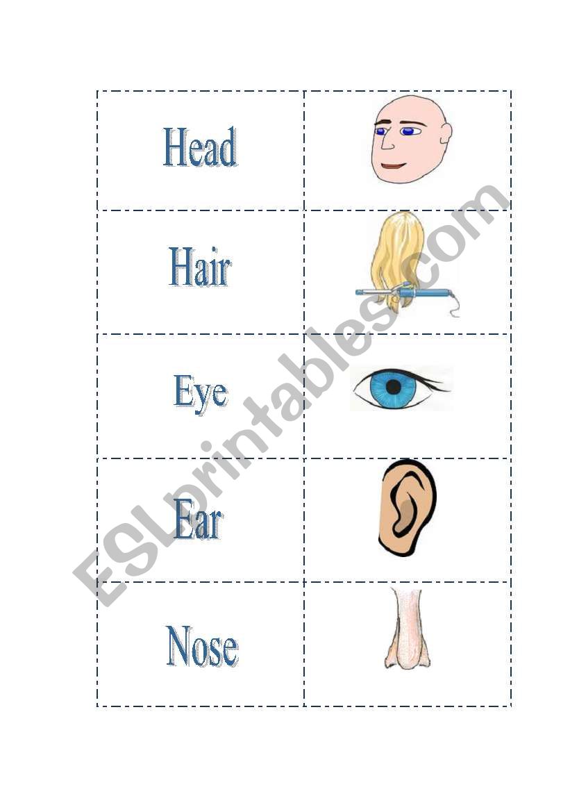 Body Cards 1 worksheet