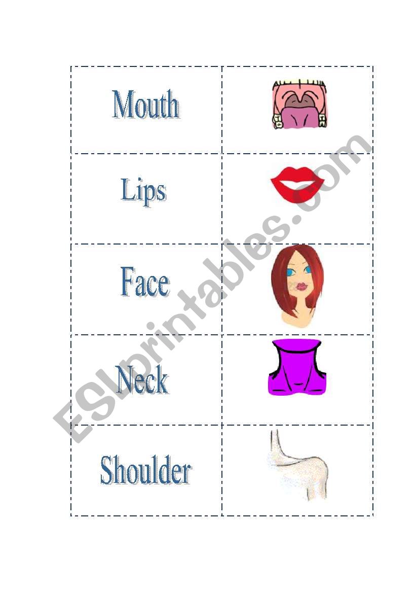 Body parts 2 worksheet