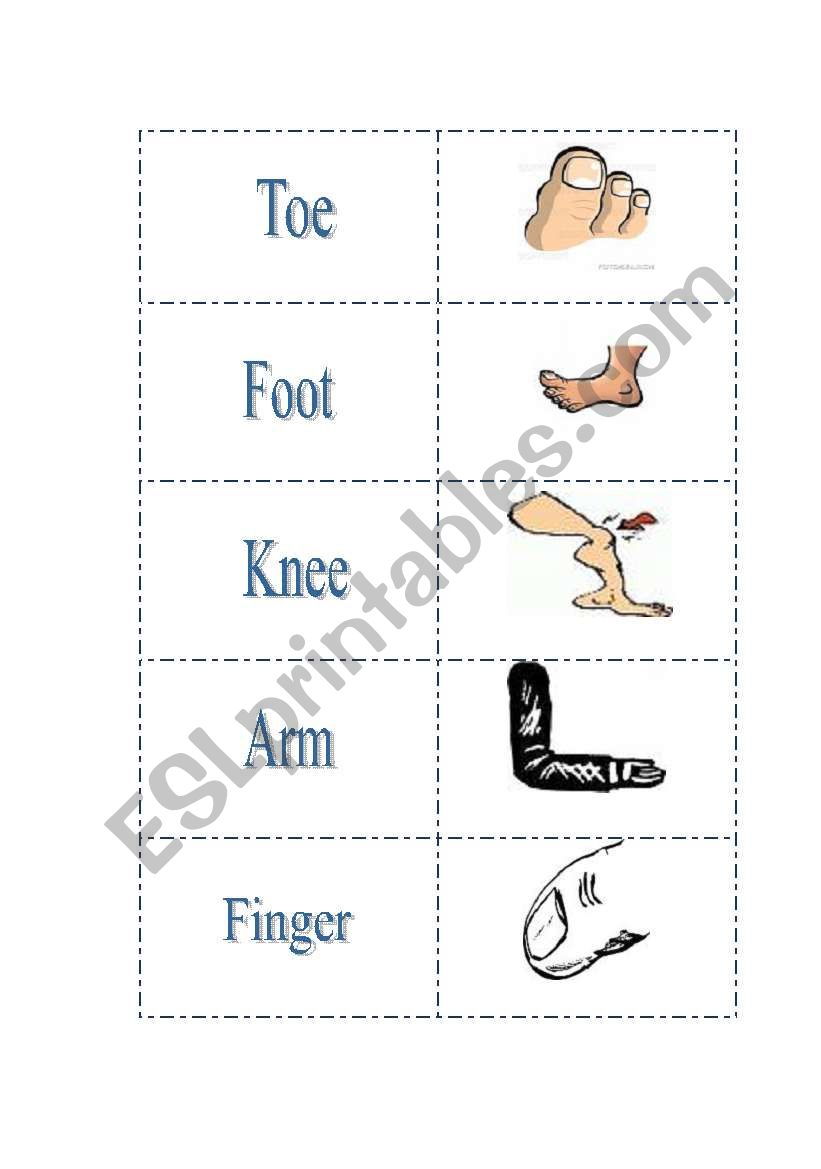 Body parts 3 worksheet