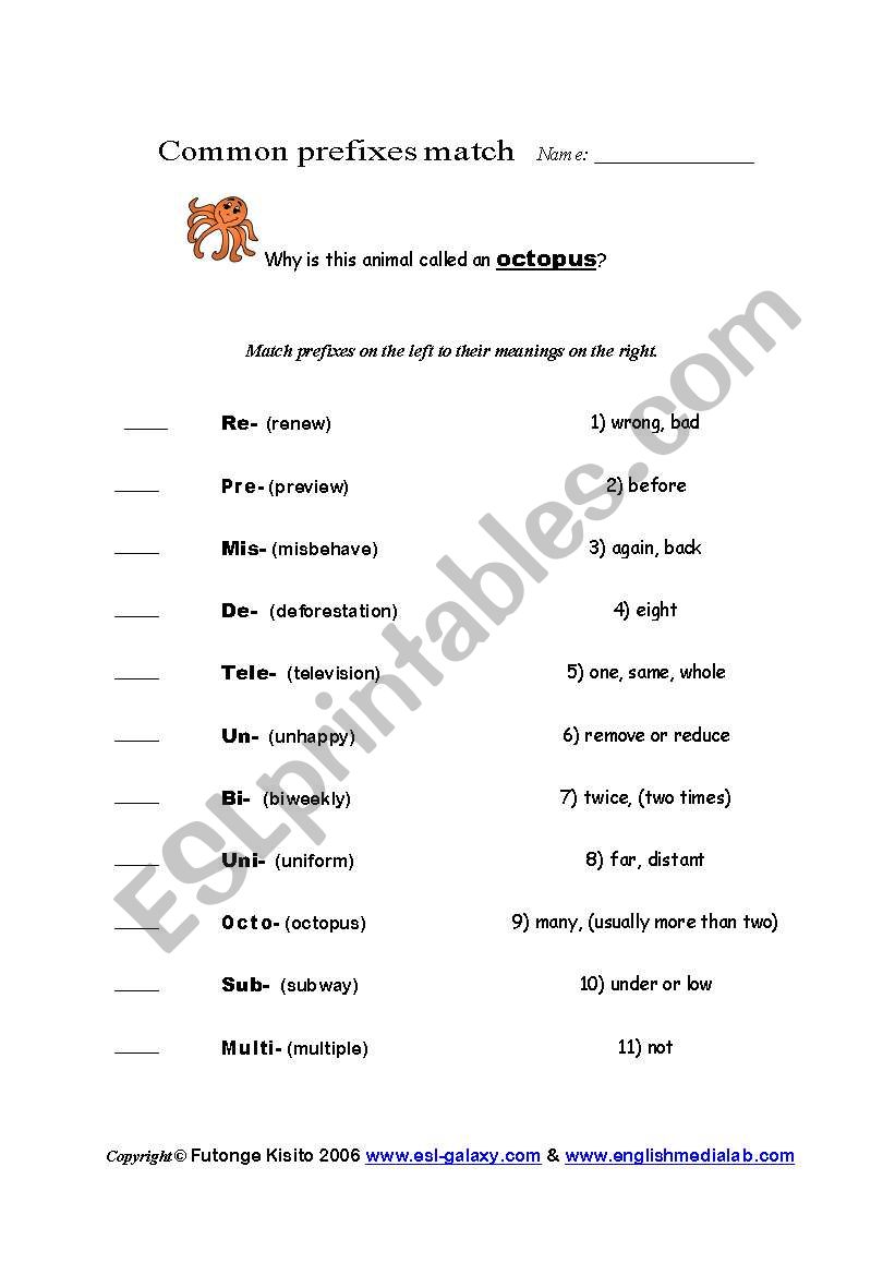 Common prefixes match worksheet