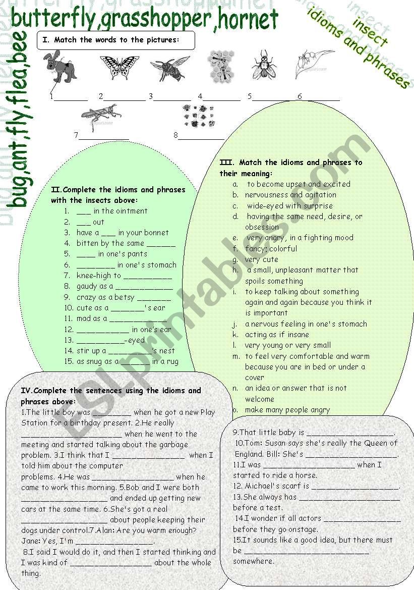 INSECT IDIOMS AND PHRASES worksheet