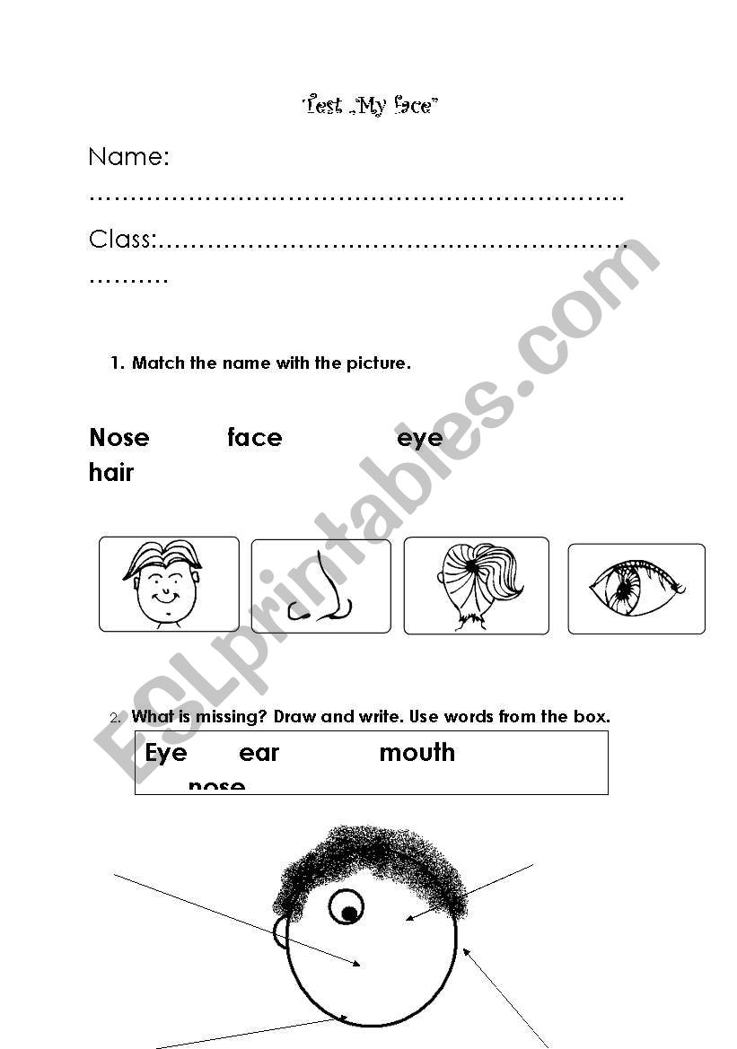 My face worksheet