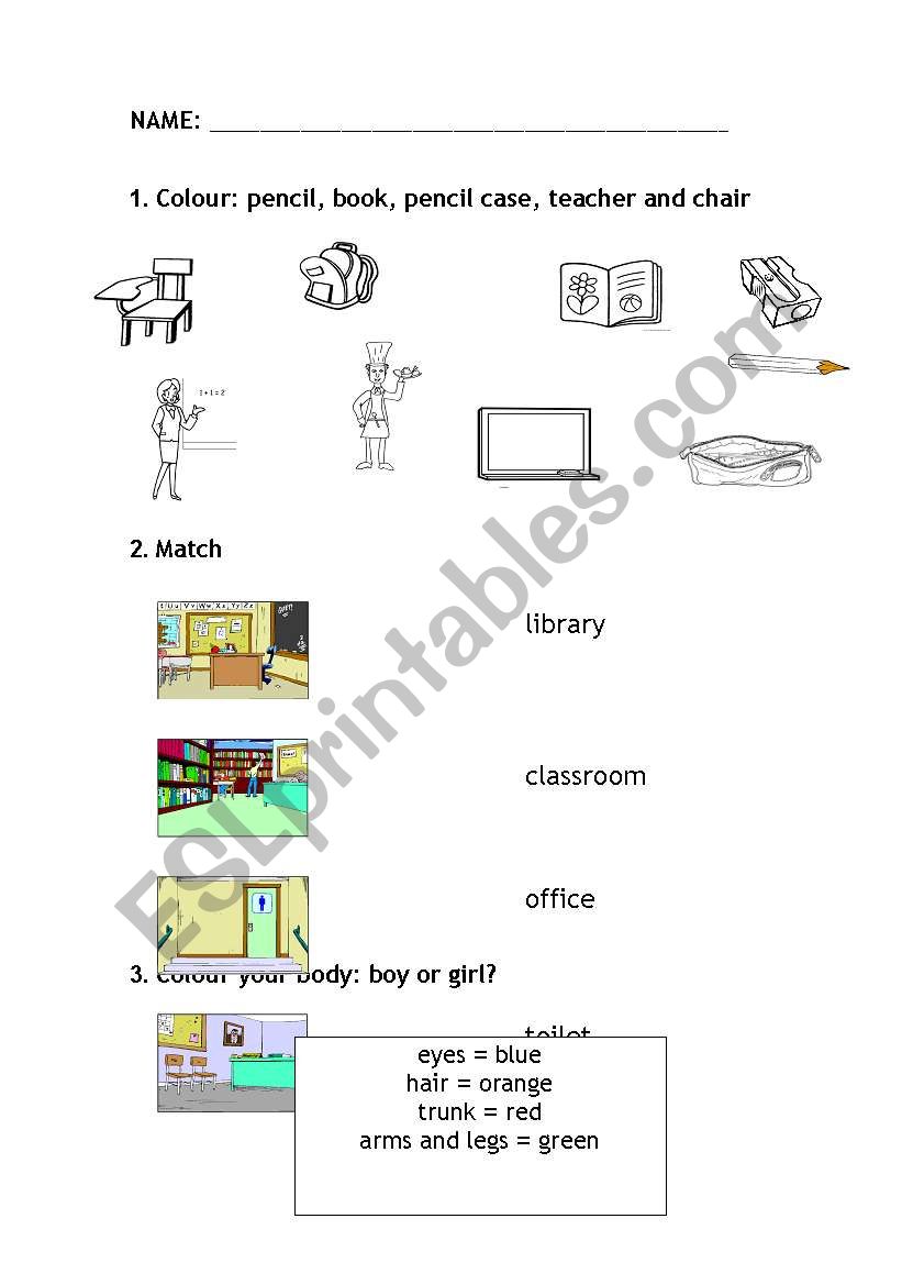 SCHOOL AND BODY worksheet