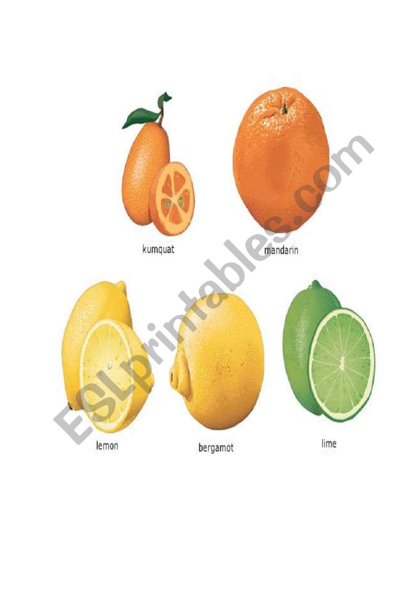 FRUITS worksheet