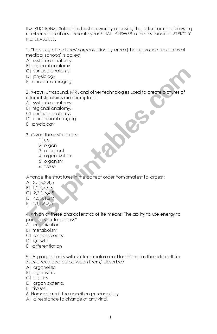 anatomy and physiology  worksheet