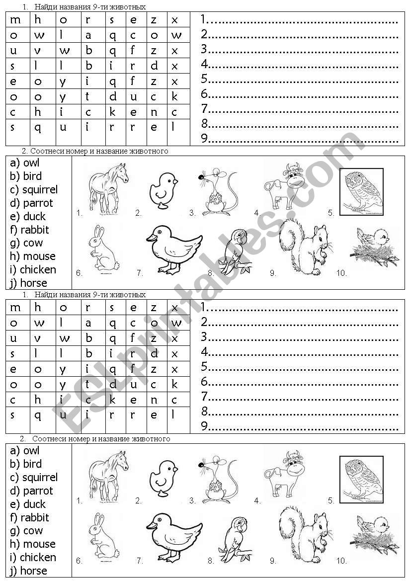 animals worksheet