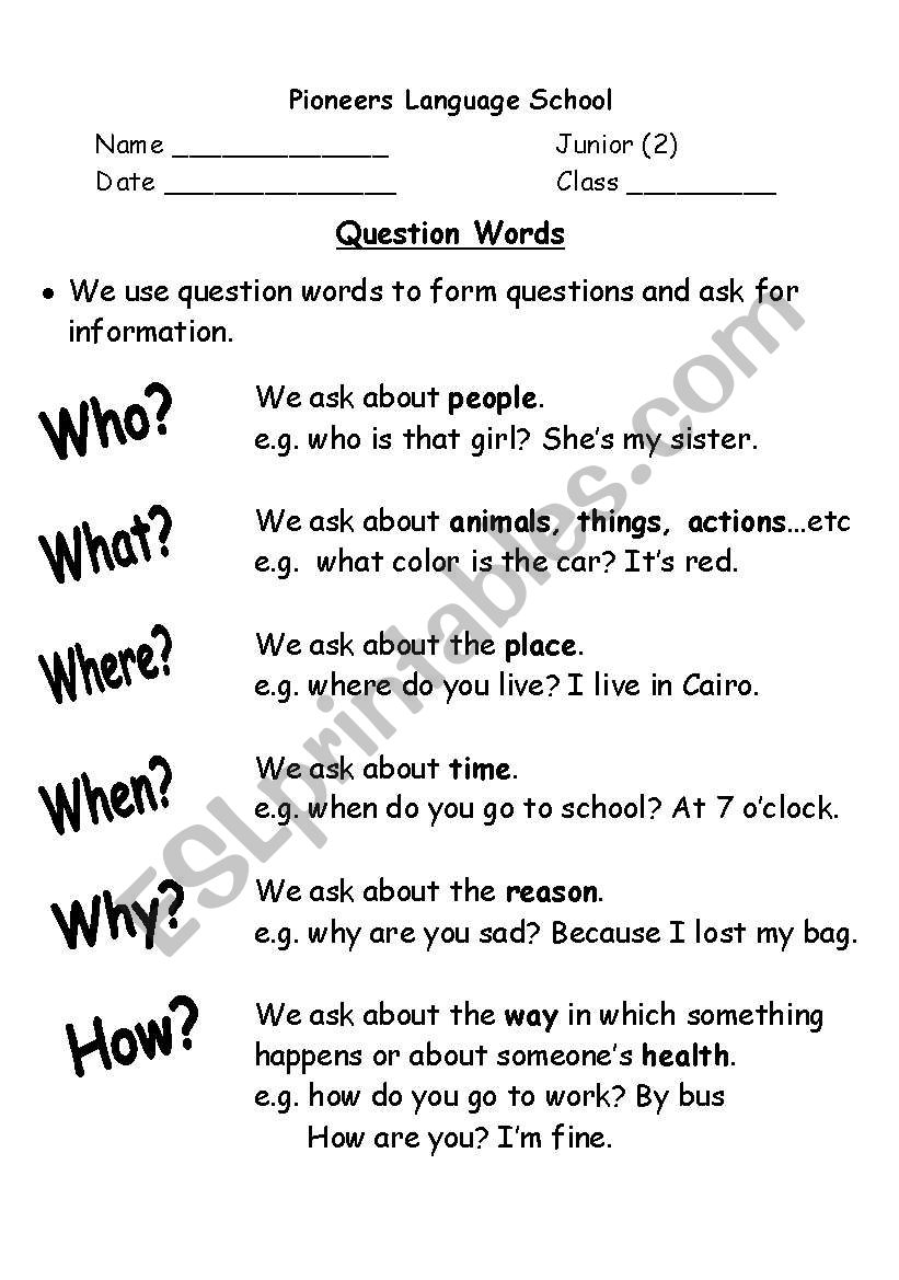 question words worksheet
