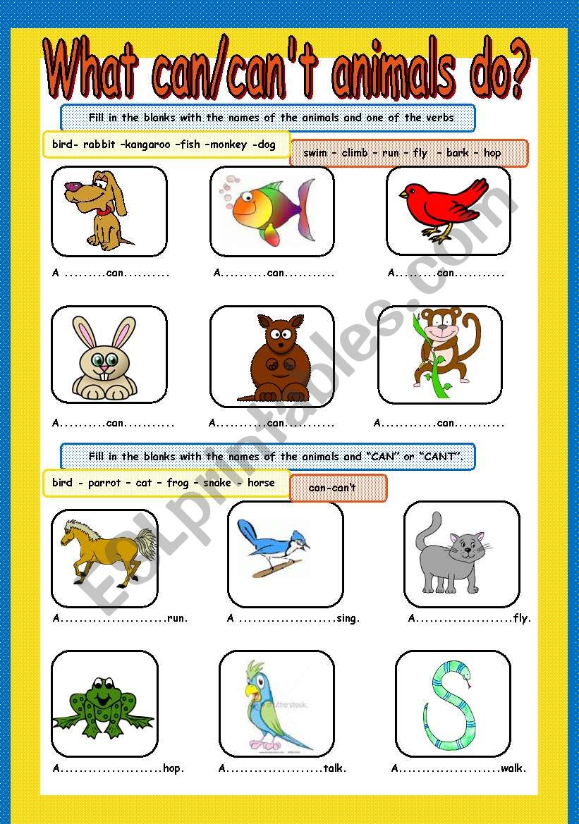 What can/cant animals do? worksheet