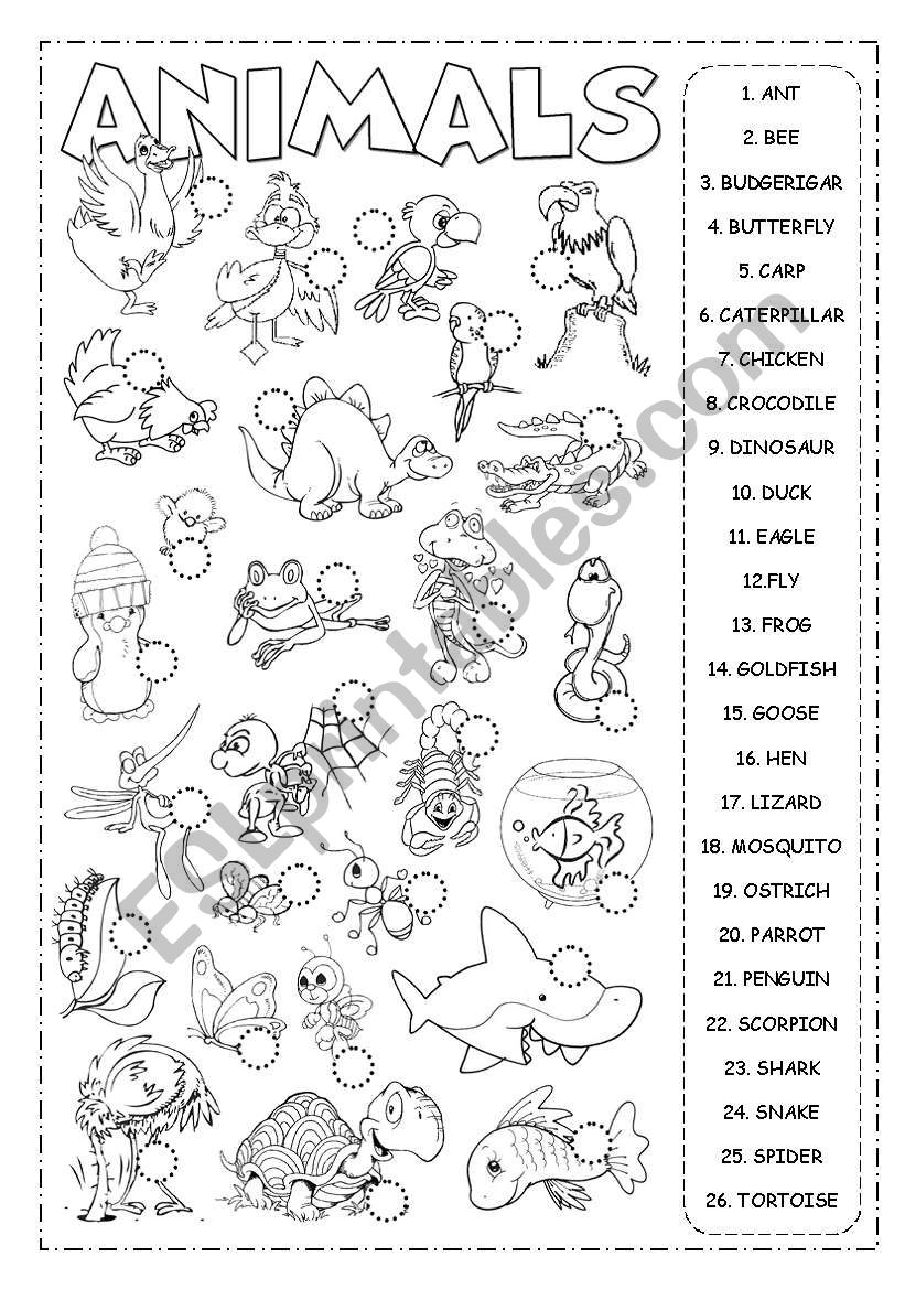 Animals Pictionary worksheet