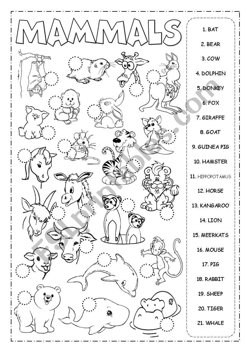 Mammals Picrionary worksheet