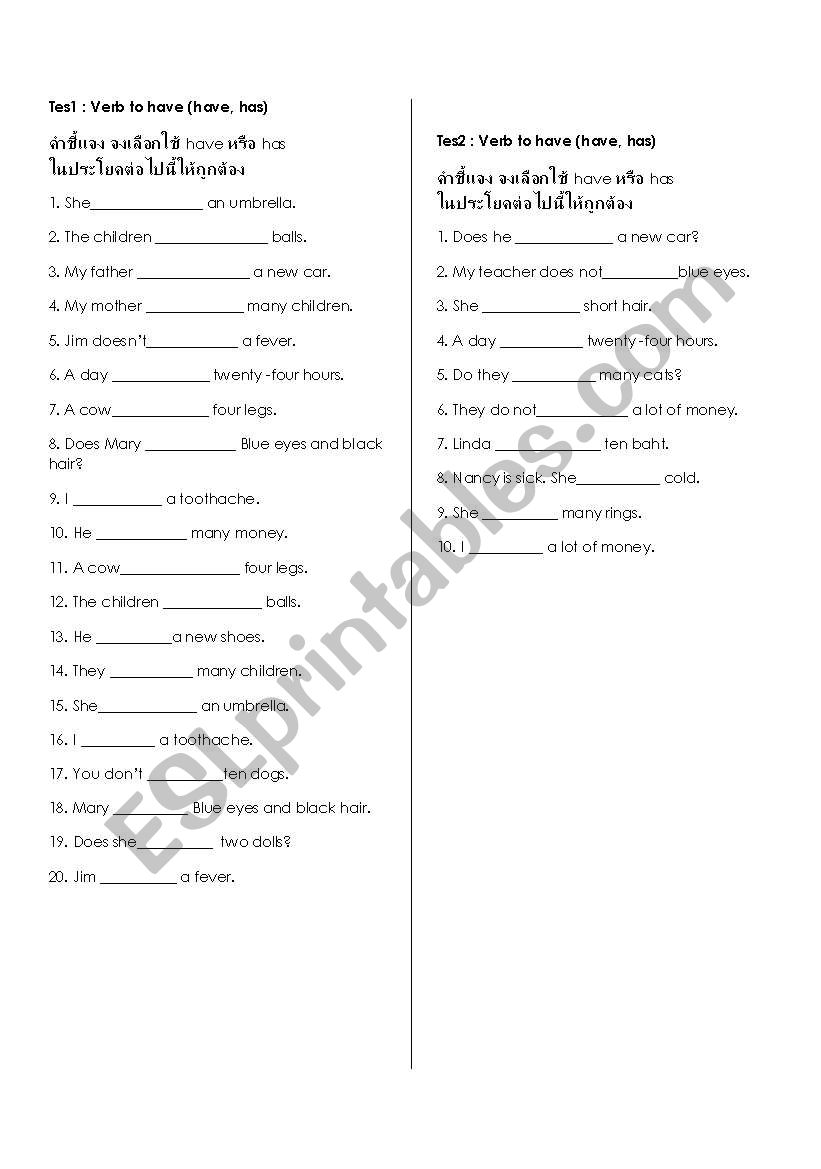 Verb to have worksheet