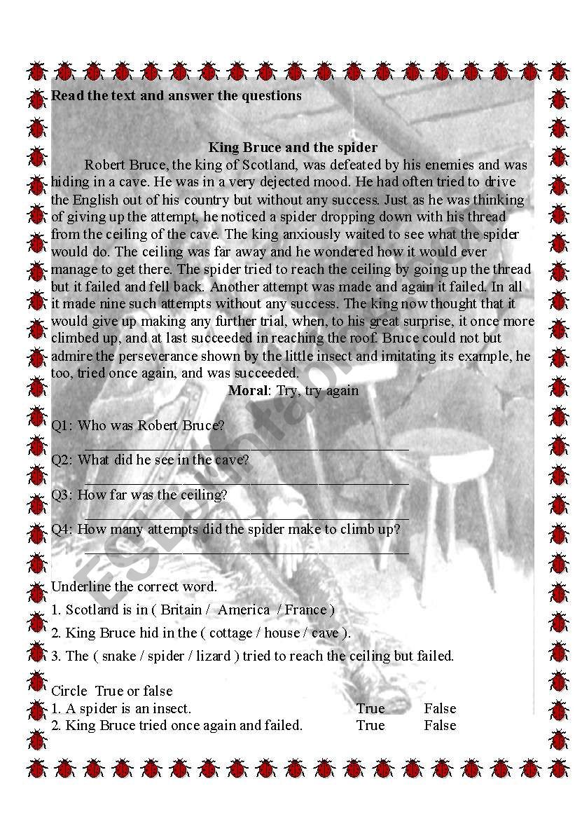 King Bruce and the Spider worksheet