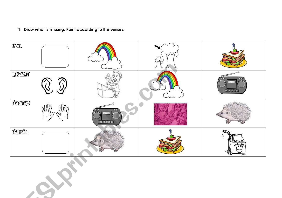 body senses worksheet