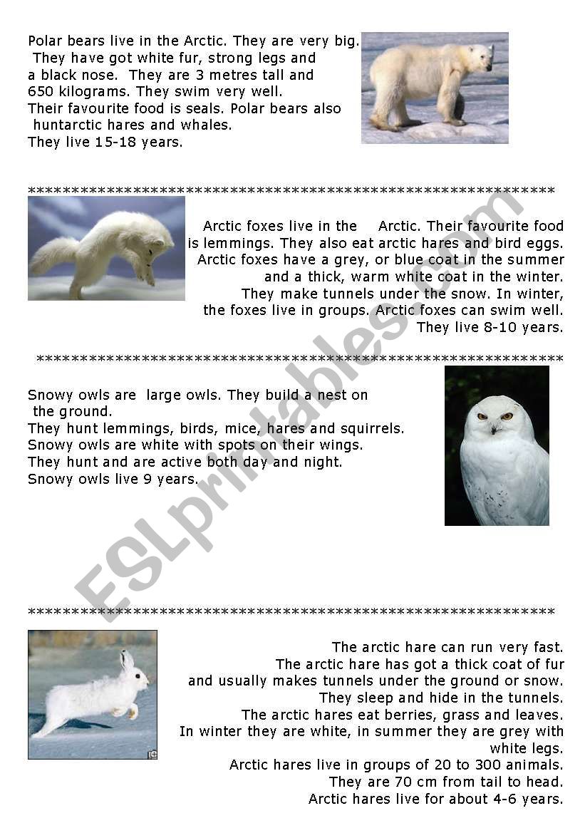 Animals of the Arctic worksheet