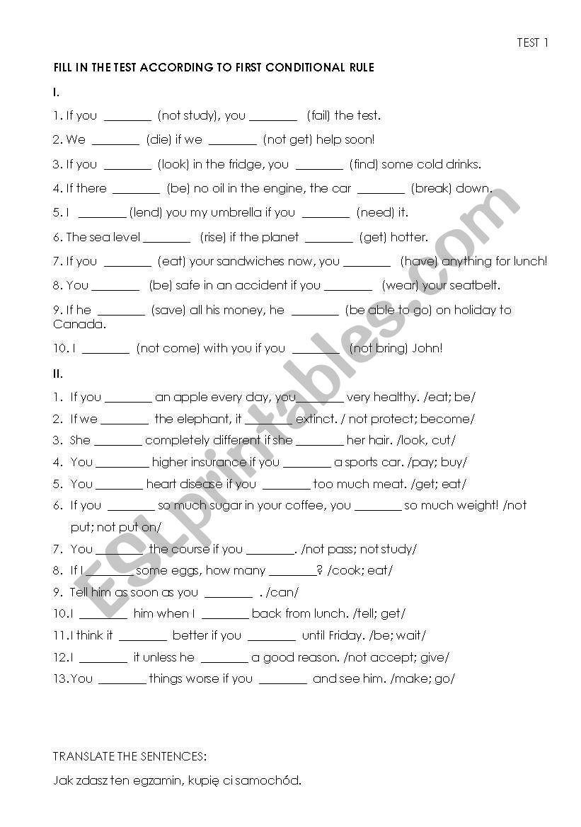 FIRST CONDITIONAL worksheet