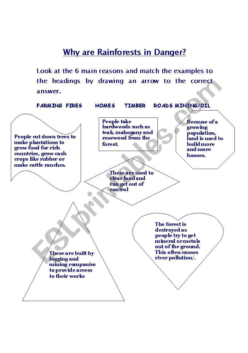 Why Are Rainforests in Danger worksheet