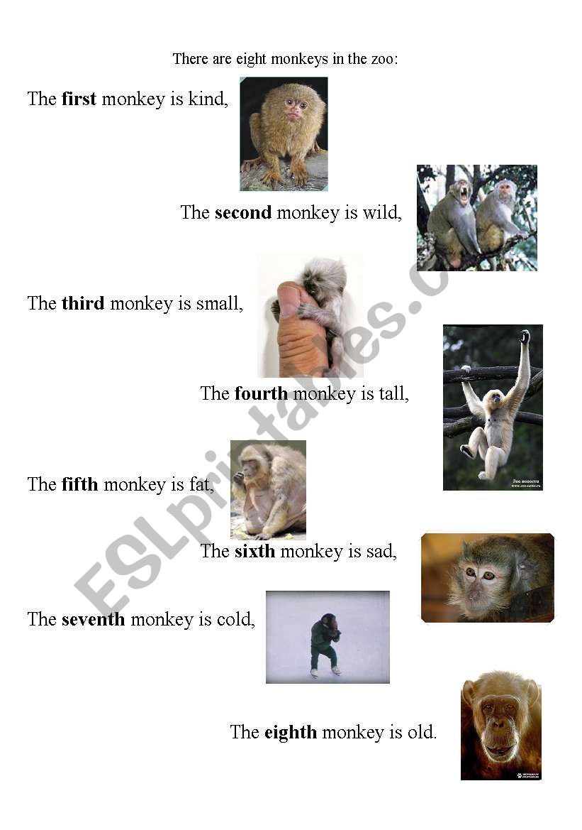 the first monkey worksheet