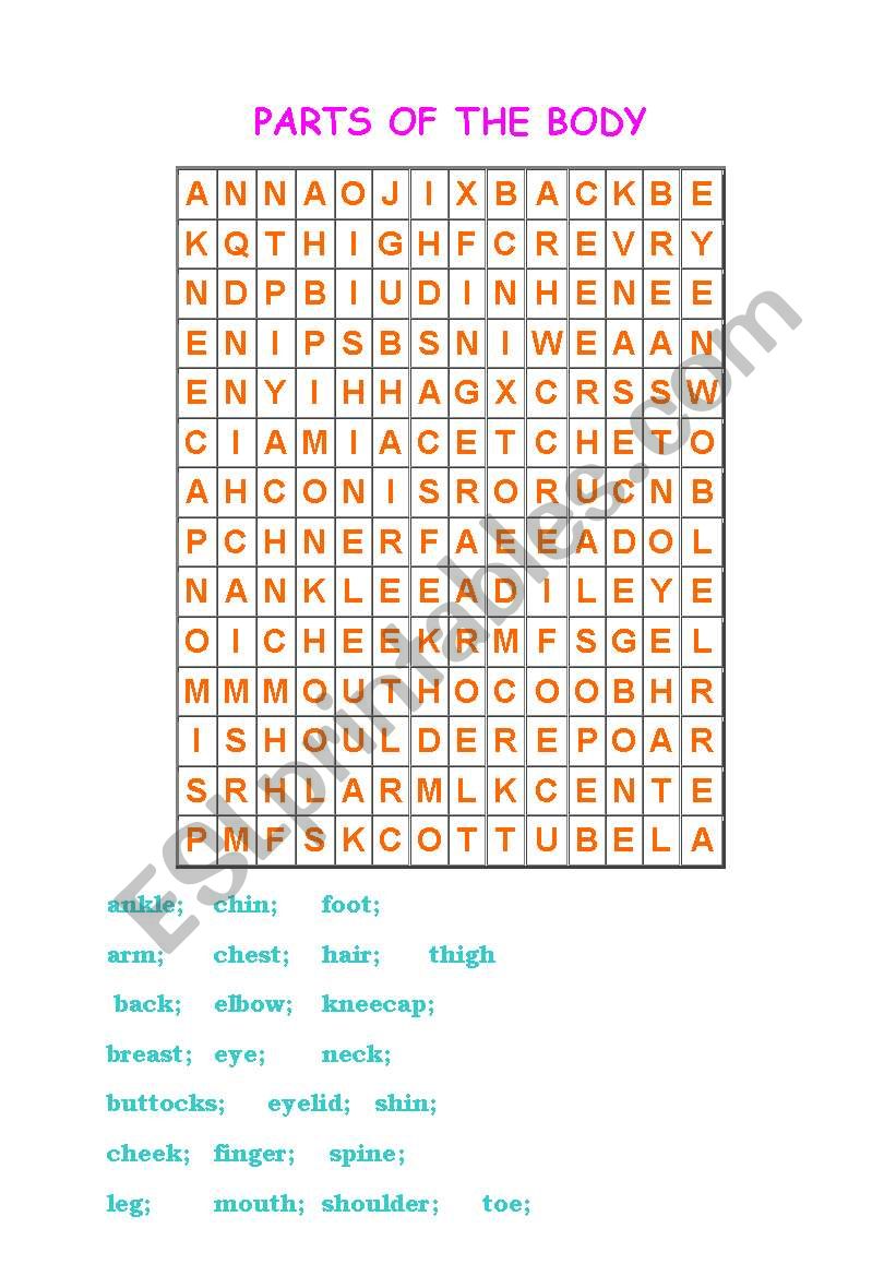 Parts of the body Wordsearch Puzzle