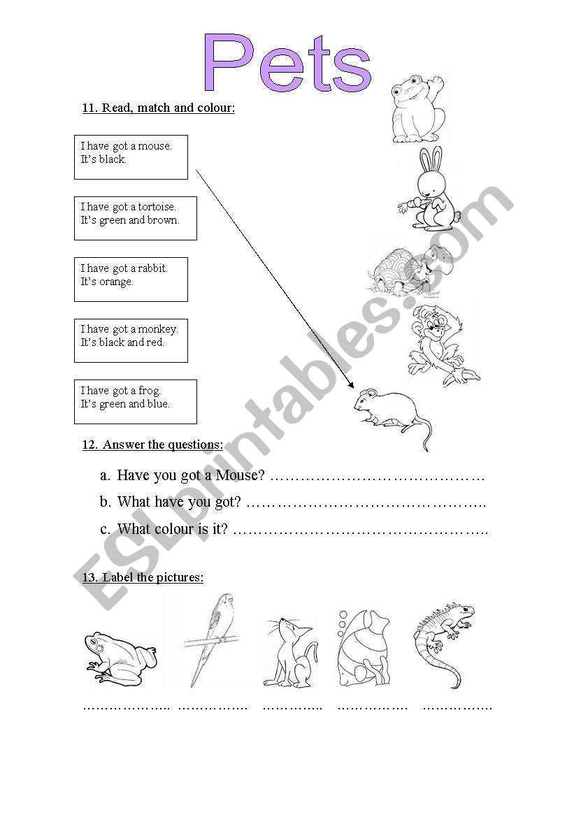 Pets worksheet