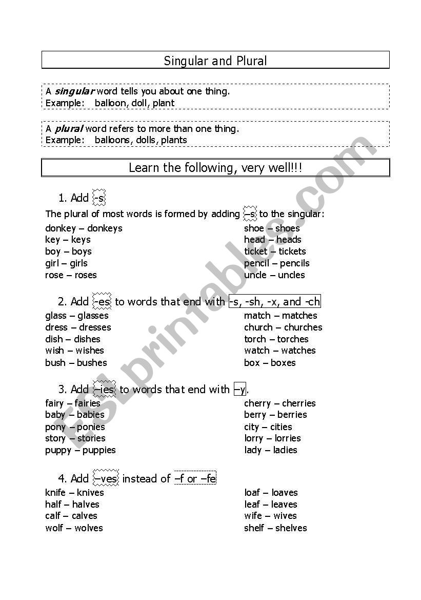 Singular and Plural worksheet