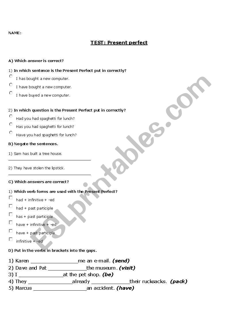 Present Perfect Test worksheet