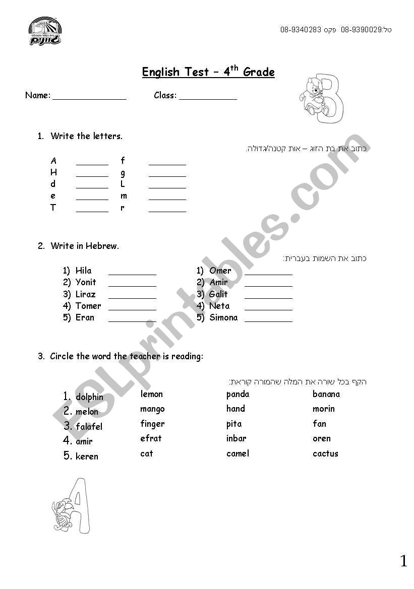 beginners test worksheet