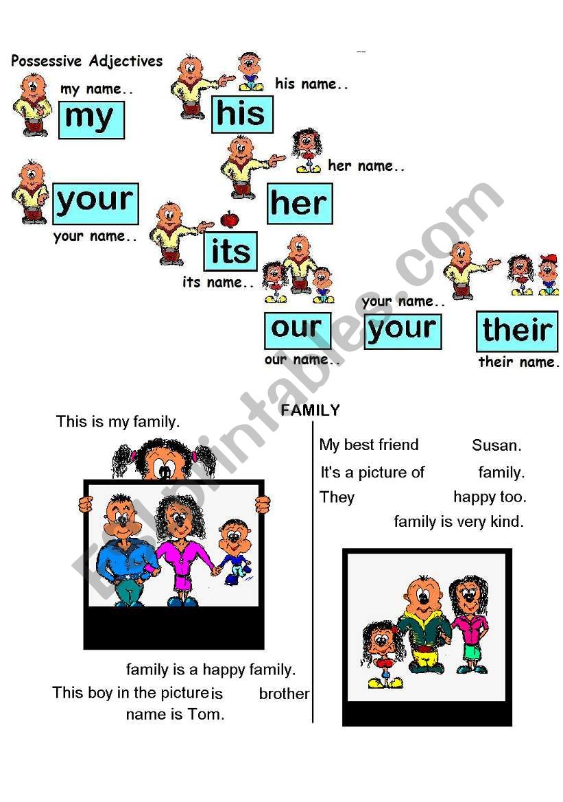 Possessive Adjectives For Children ESL Worksheet By Bideni