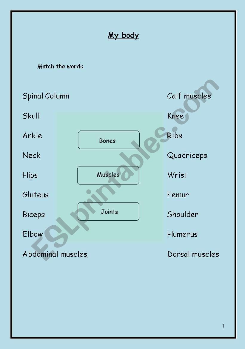 My body worksheet