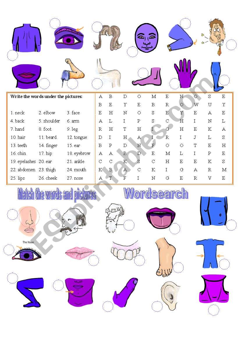 Body Parts  - Match & Wordsearch