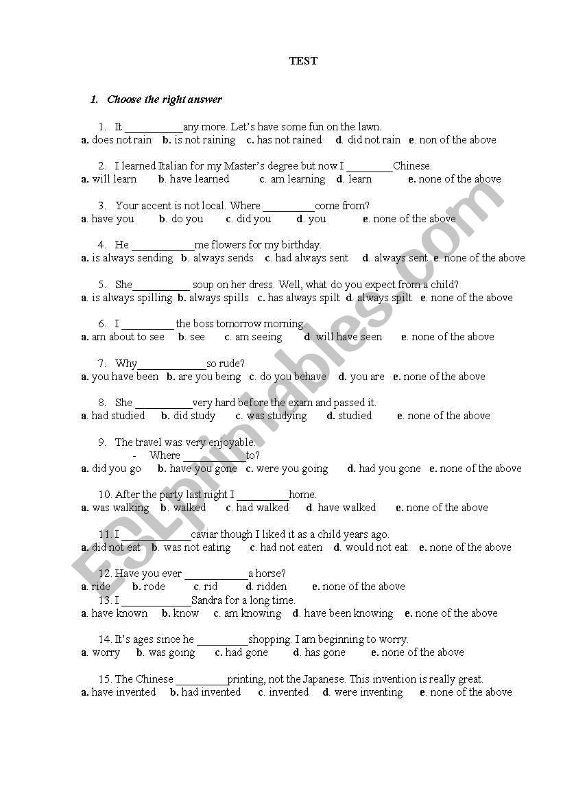 Grammar Test  worksheet