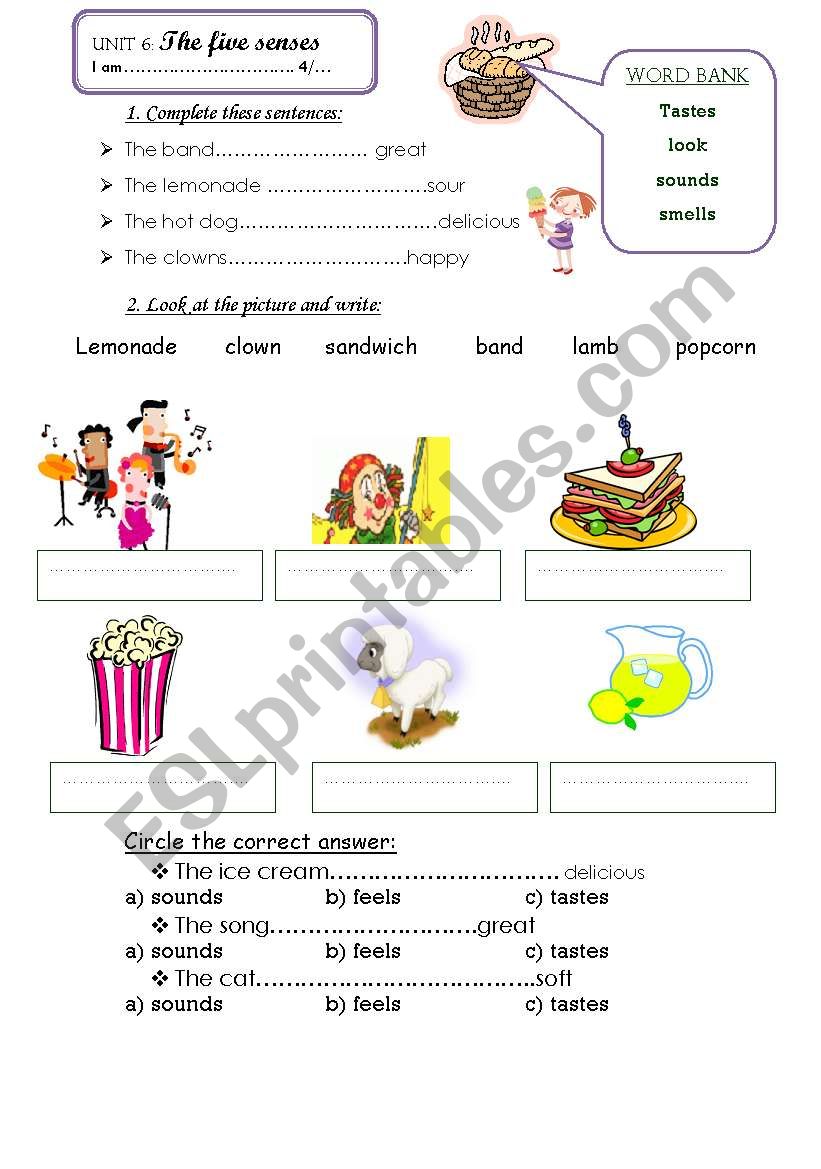 five senses worksheet