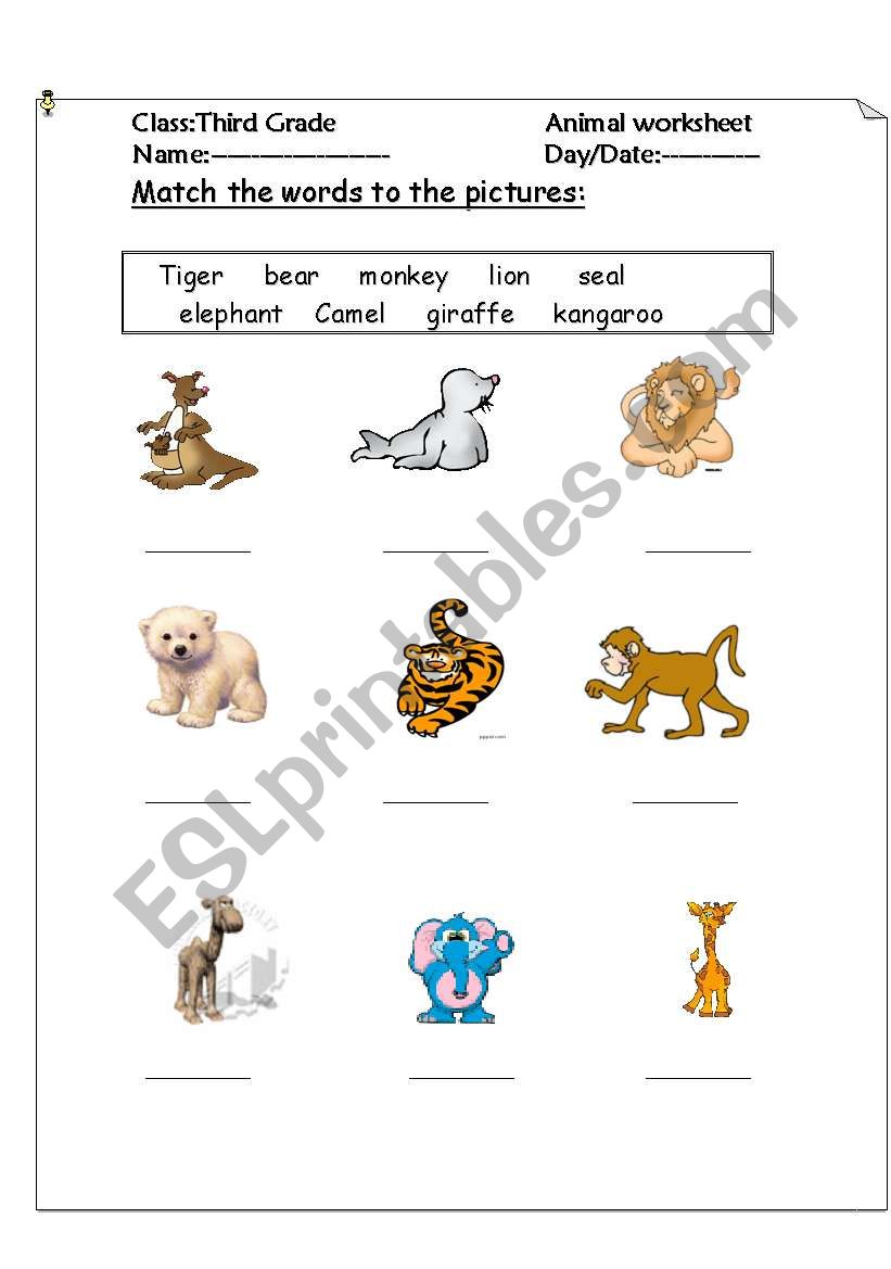 animals worksheet