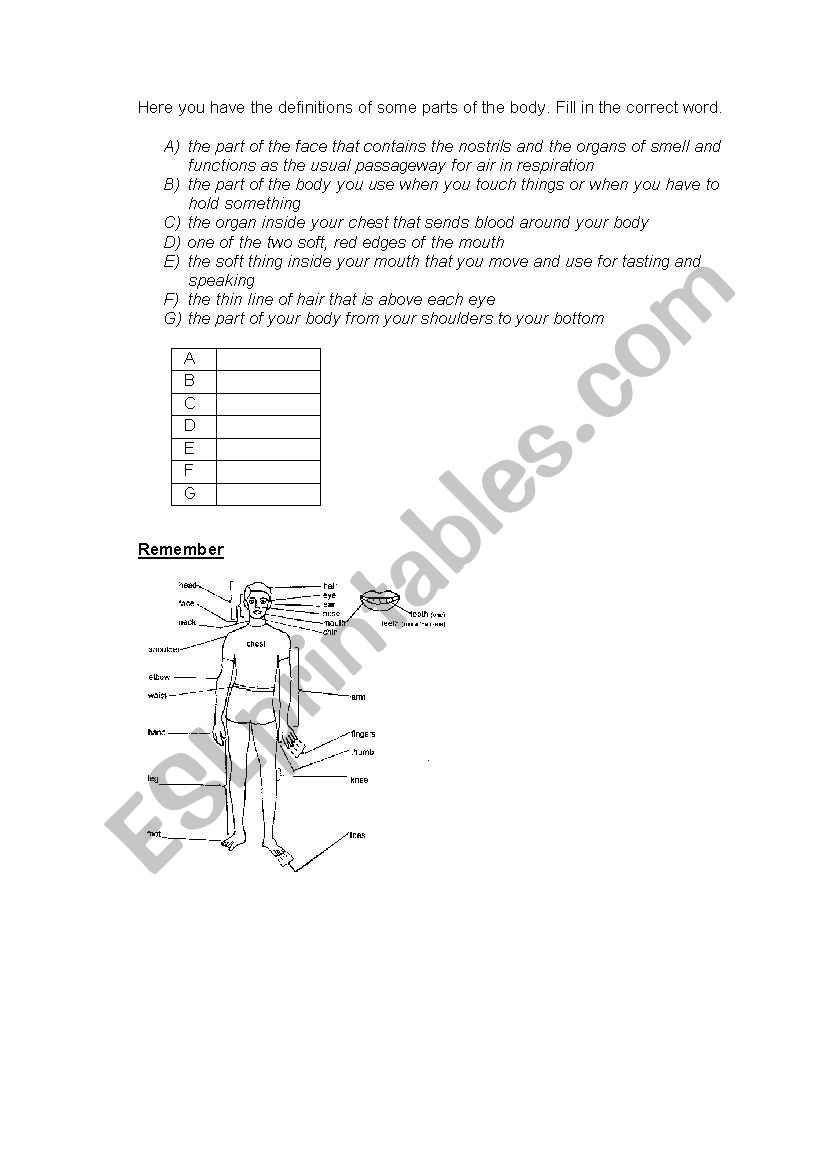 Parts or the body worksheet
