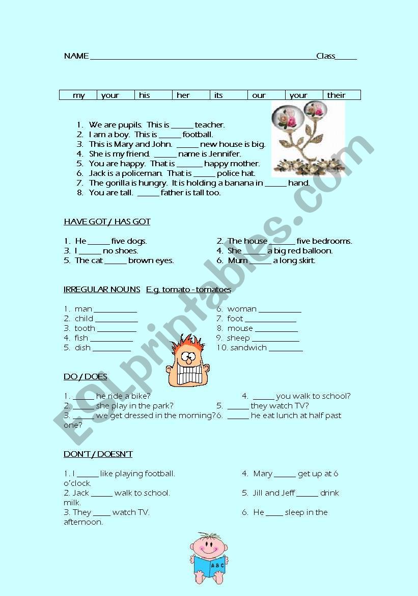 grammar revision worksheet