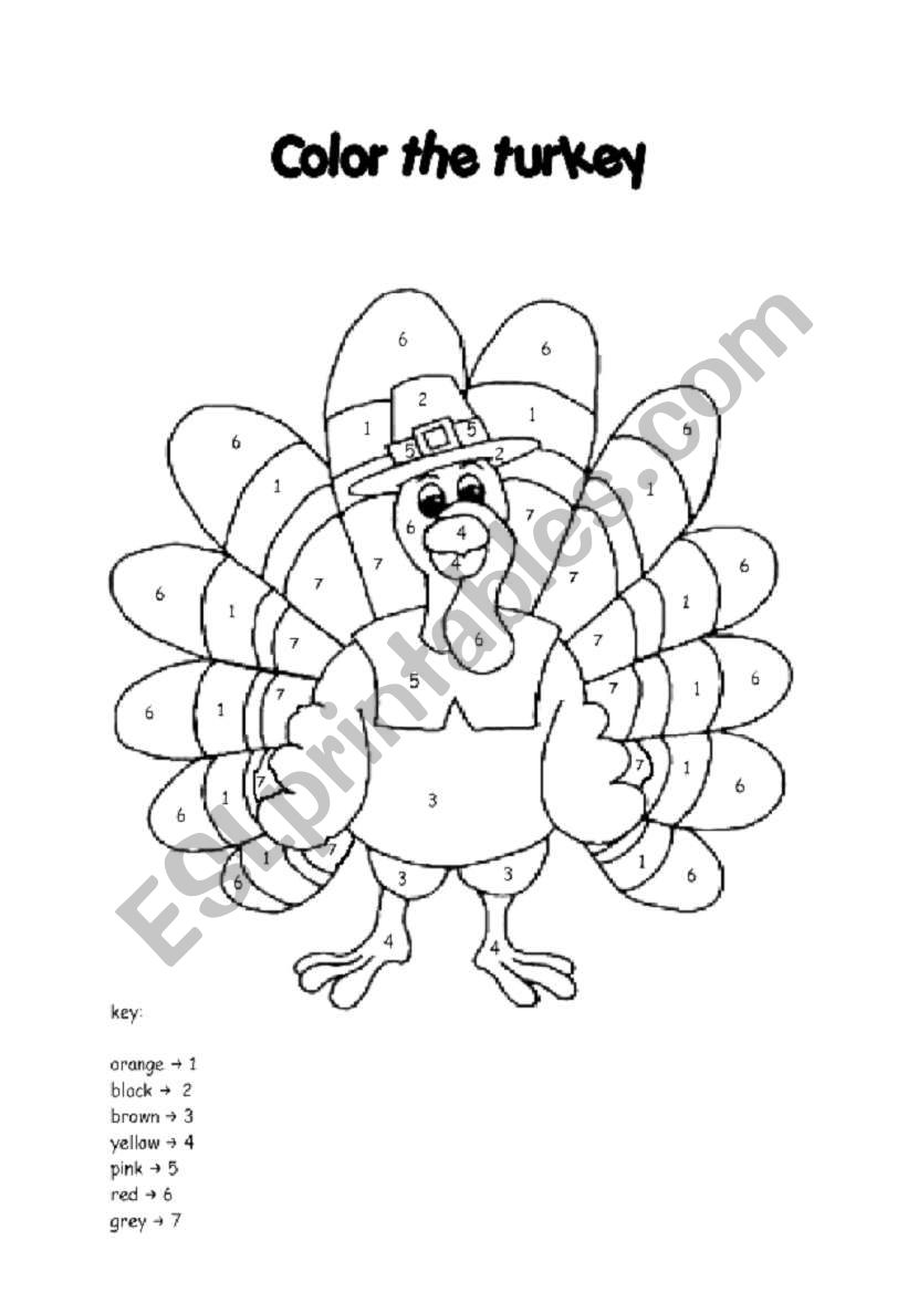 the turkey worksheet