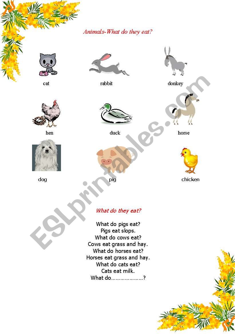 Domestic animals worksheet