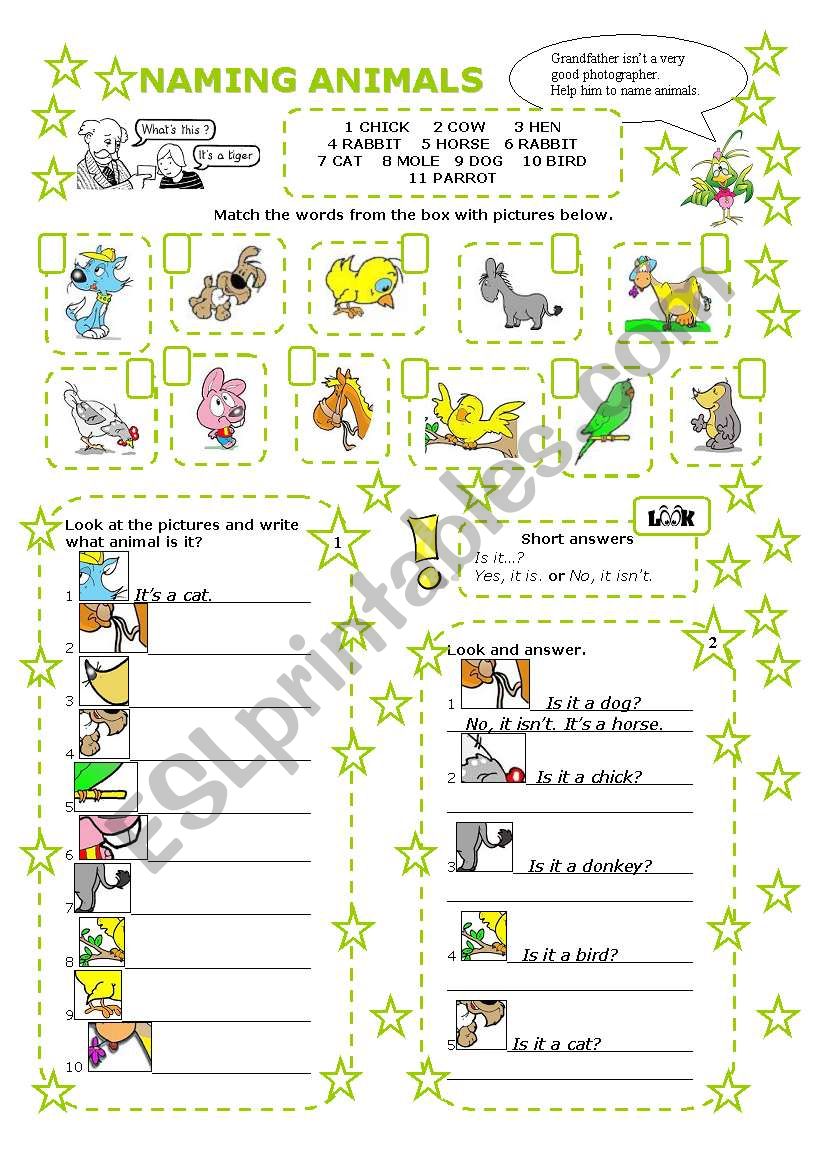 NAMING ANIMALS - WHAT IS IT? worksheet