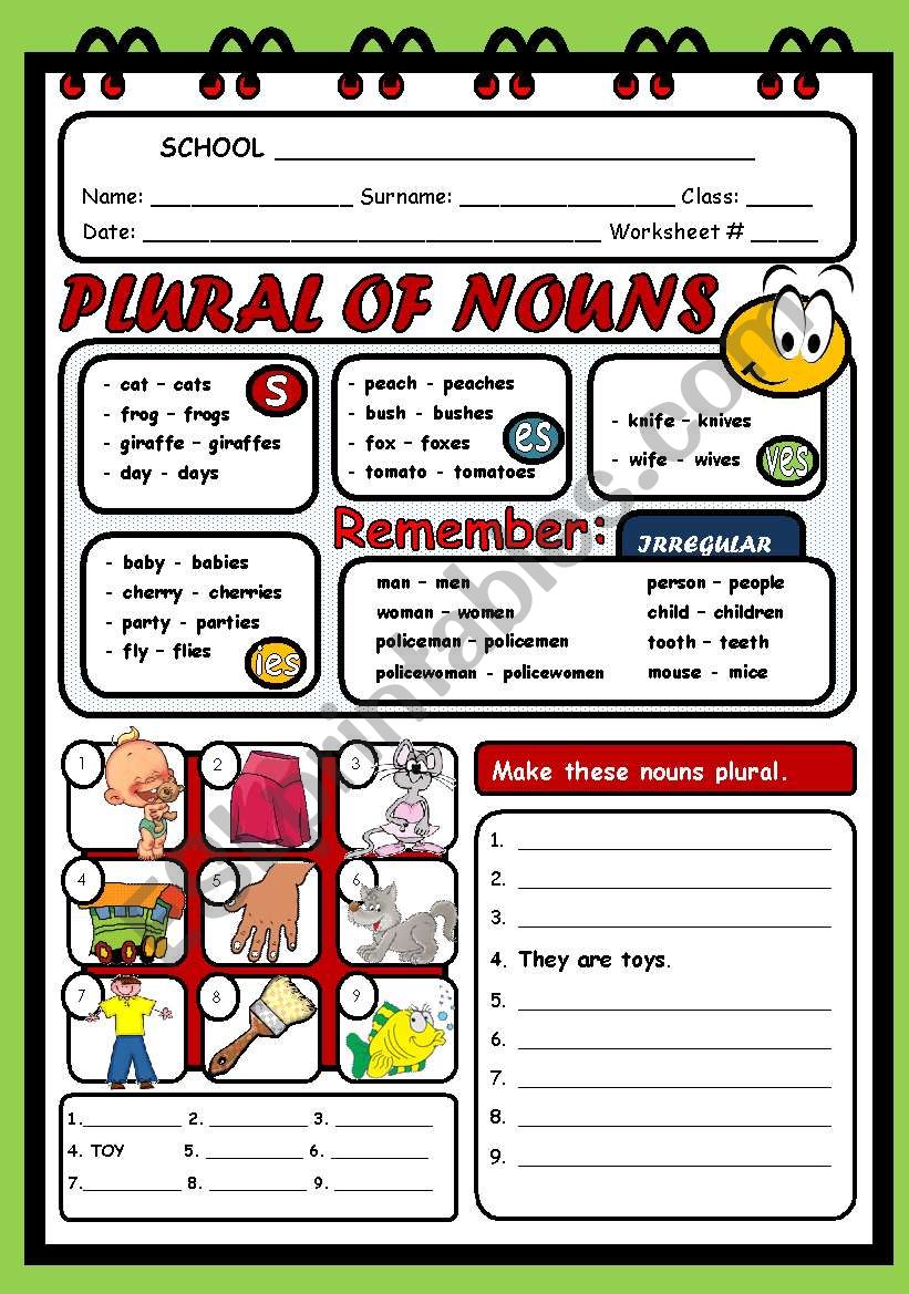 PLURAL OF NOUNS worksheet