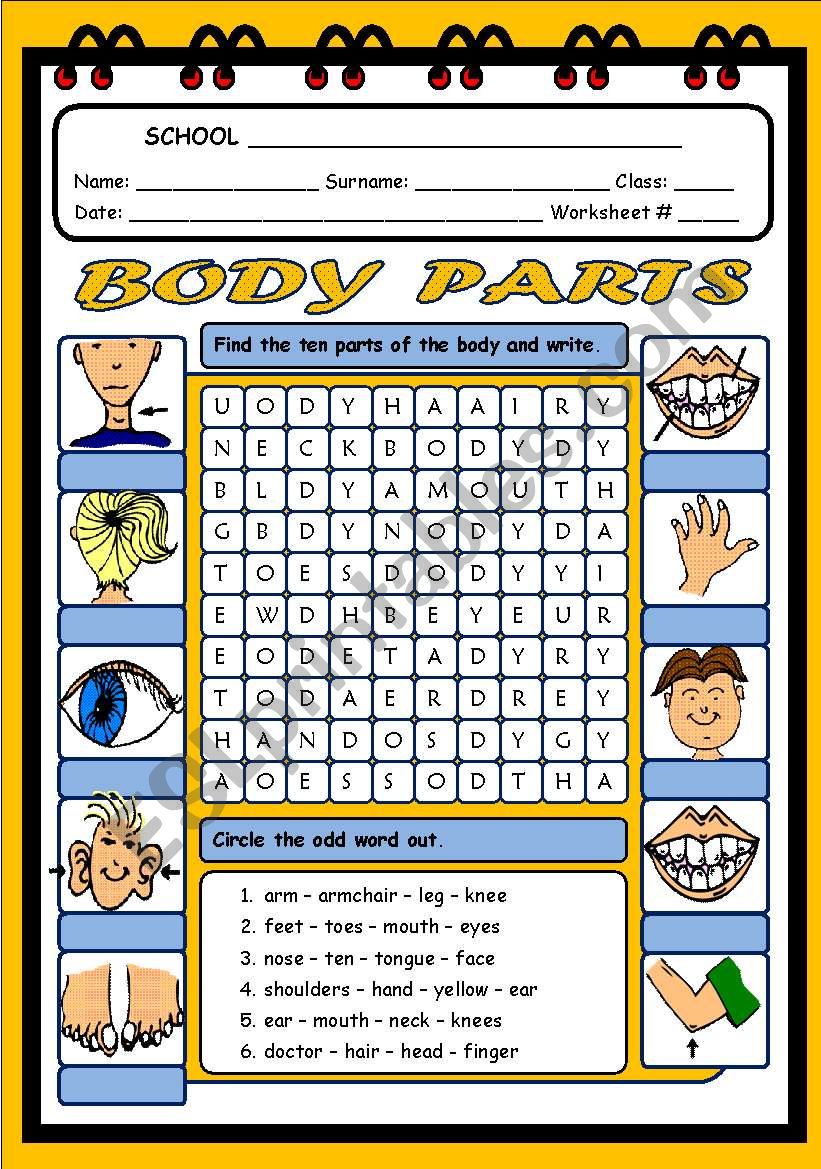 BODY PARTS WORDSEARCH ESL Worksheet By Evelinamaria