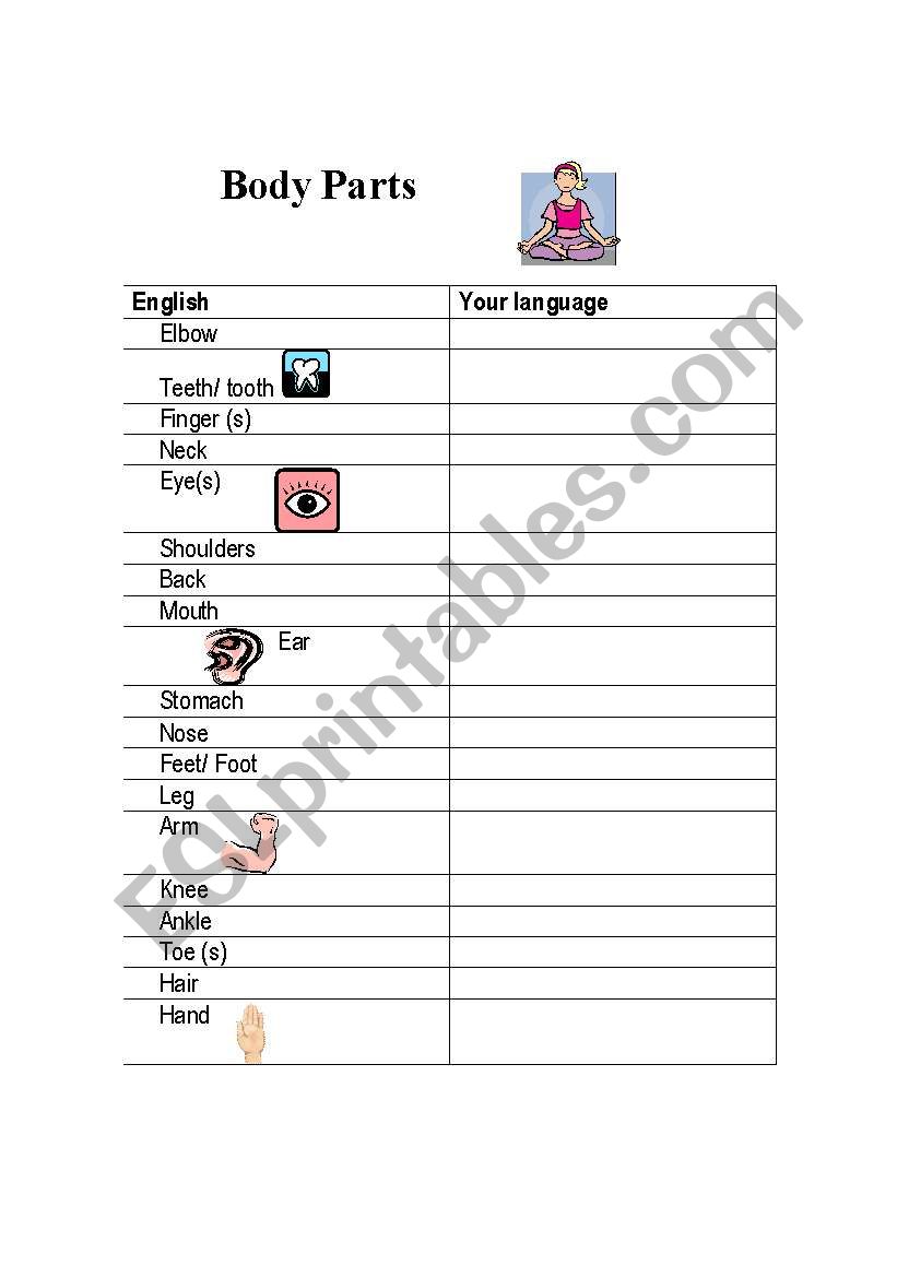 Body parts worksheet
