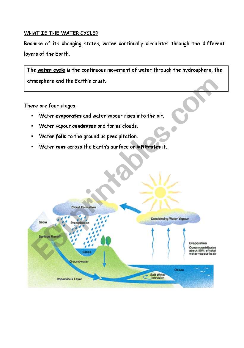water cycle - ESL worksheet by flower22 Inside Water Cycle Worksheet Middle School
