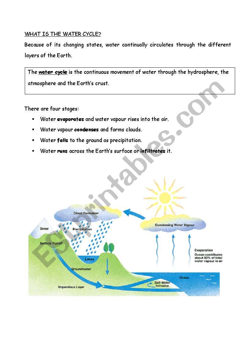 water cycle worksheet