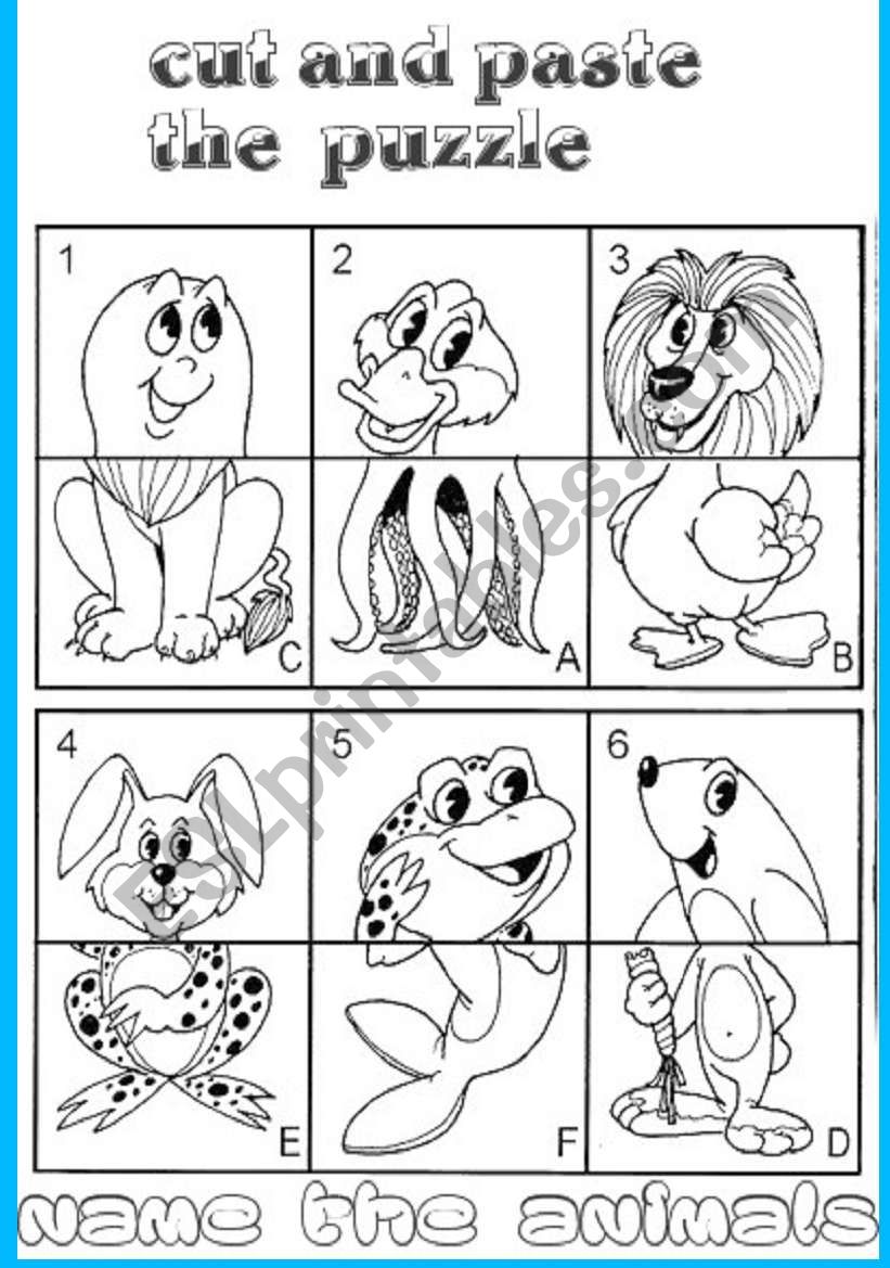 animals worksheet