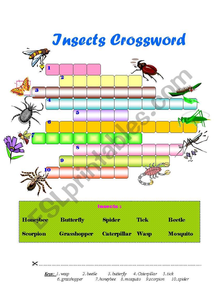 Insects Crossword worksheet