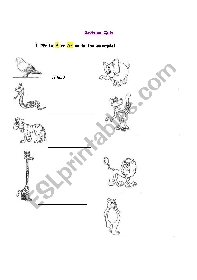 Animals with articles worksheet