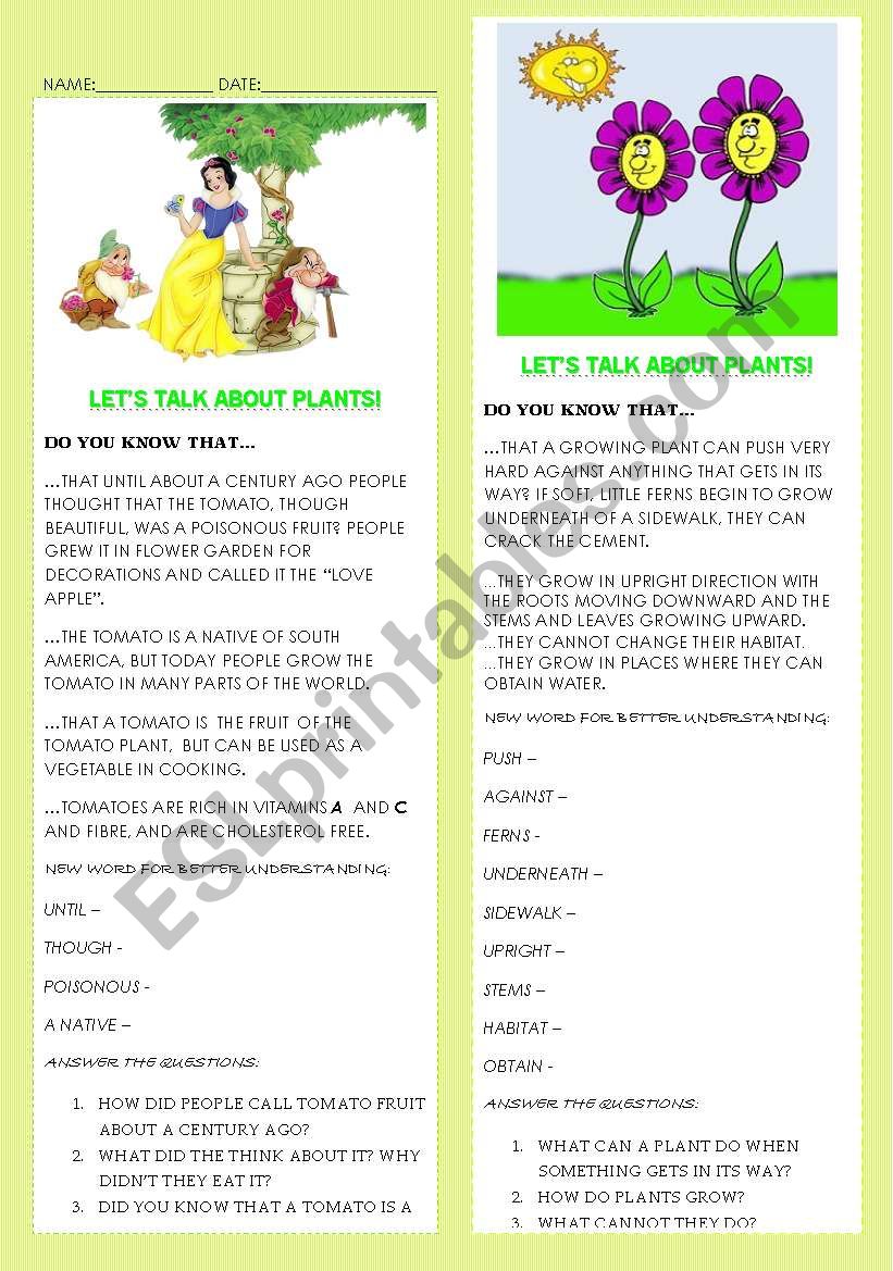 LETS TALK ABOUT PLANTS worksheet