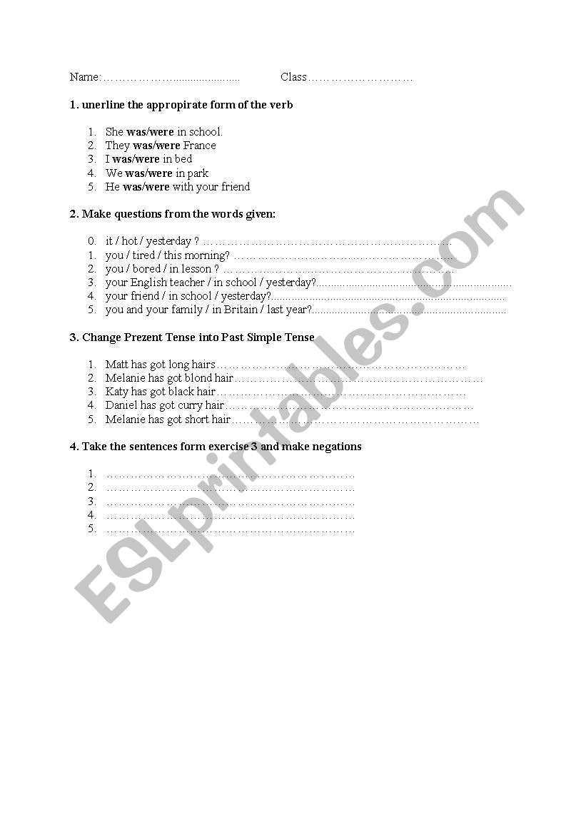 Past Simple exercises worksheet